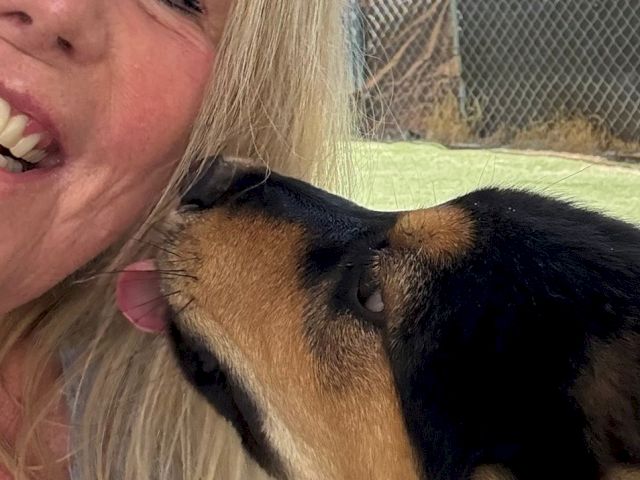 A blonde woman cuddles a German Shepherd-mix in a fenced outdoor yard, sharing an affectionate kiss.