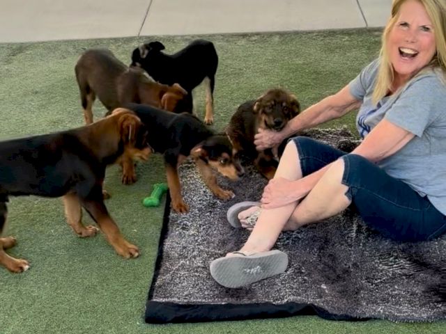 A smiling woman plays with several puppies on an outdoor grass mat, sharing laughs in the yard with them.