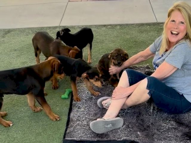A smiling woman sits on a mat with several playful puppies gathered around her, outside on grass.