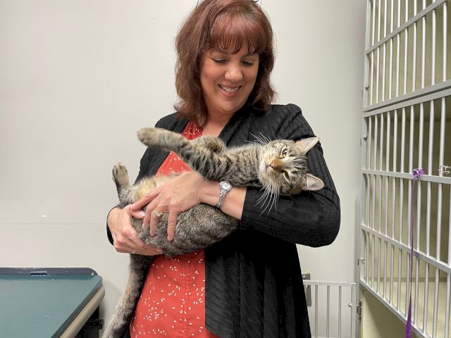 A woman in a shelter holds a grey tabby cat in a kennel, looking down with a warm smile.