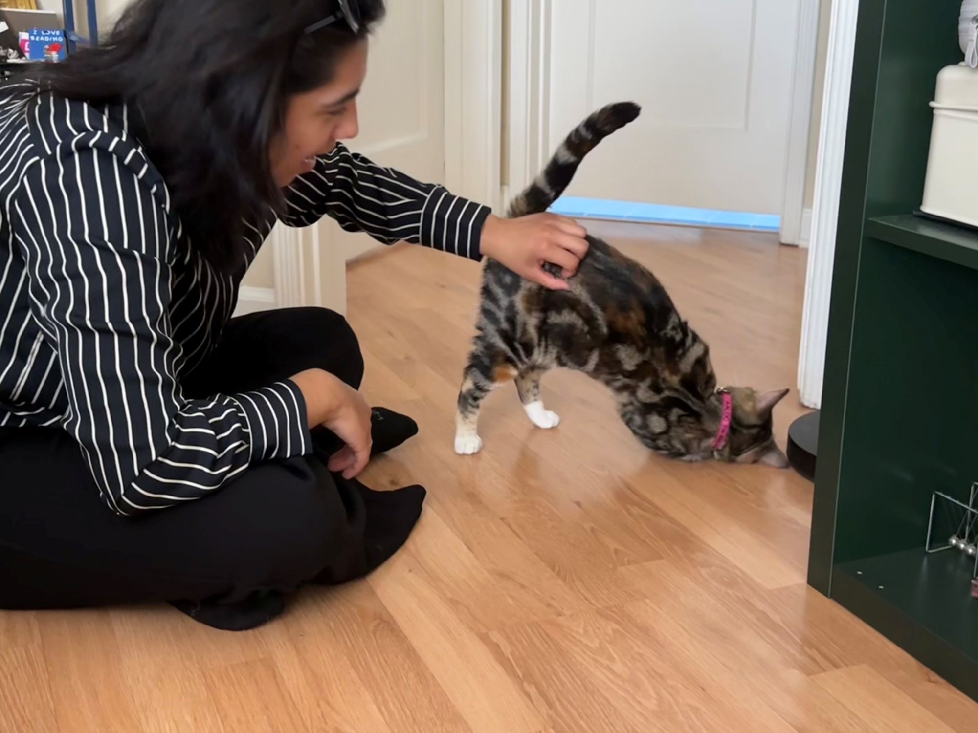 /site/assets/files/5462/violet_happy_tails_5_10_26.jpg