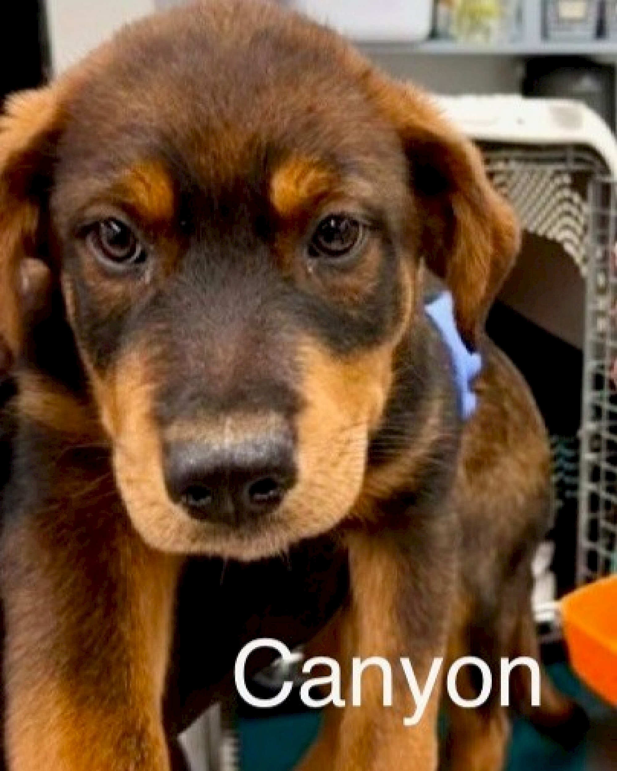 Canyon