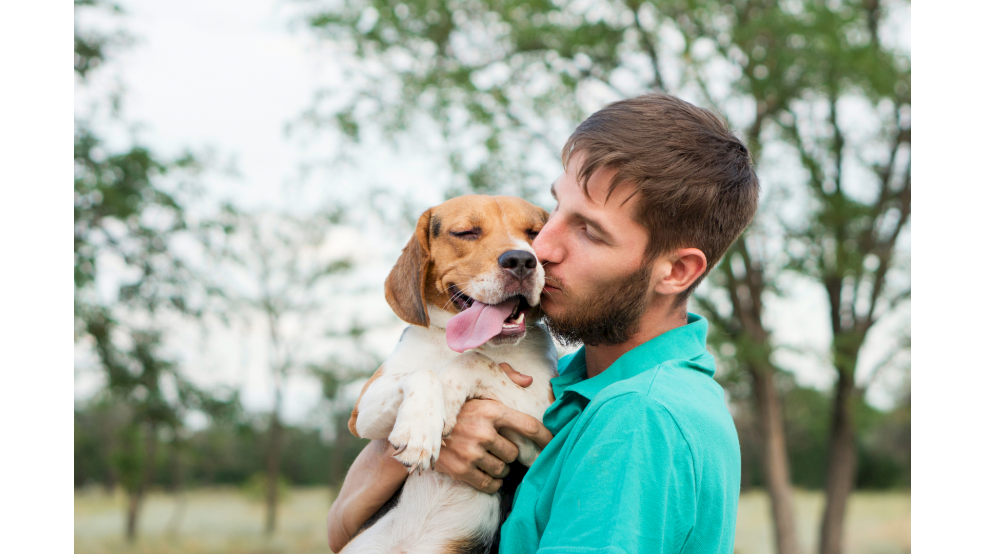 A man in a turquoise shirt holds a joyful beagle puppy, giving a kiss on the head in an outdoor park.