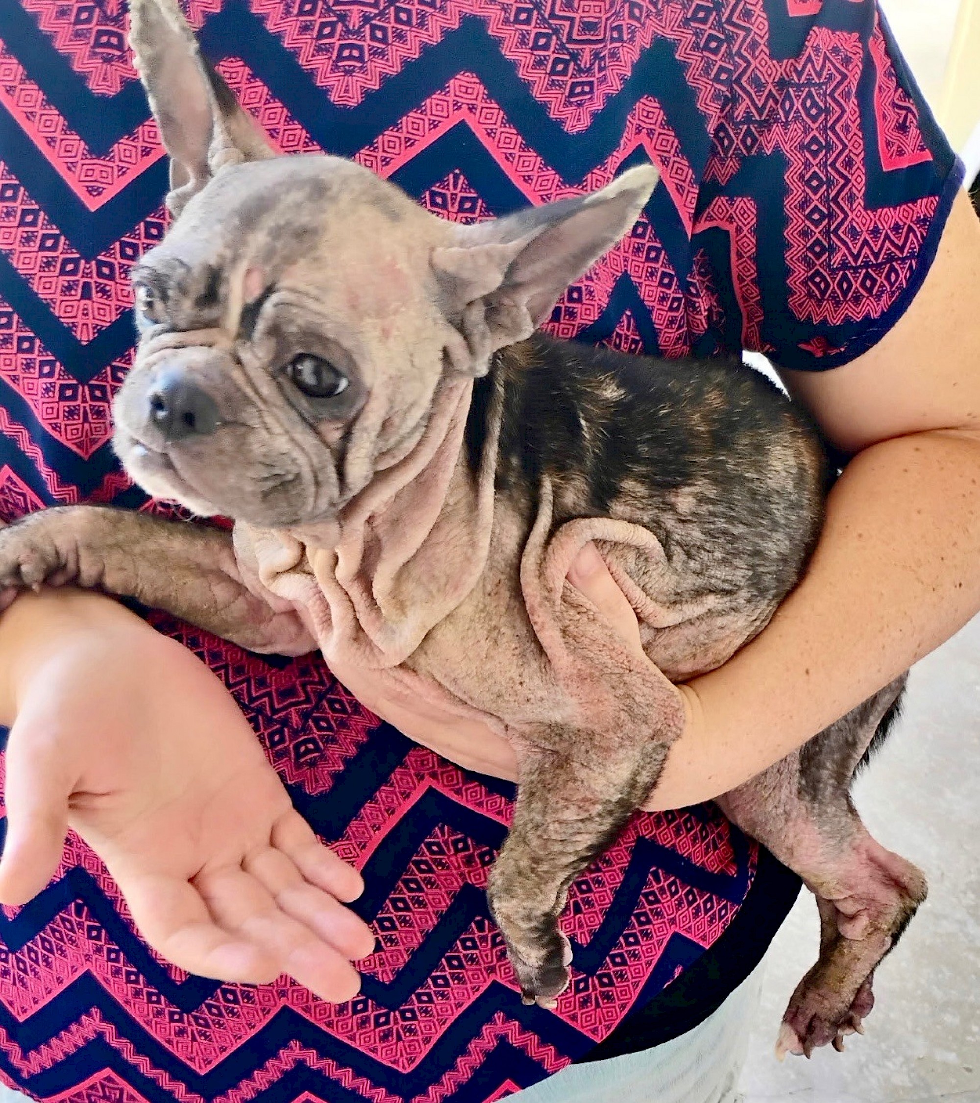 Rosie